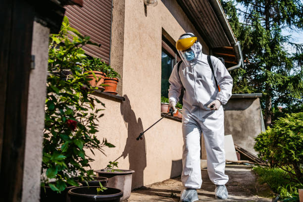 Best Bed Bug Extermination  in Parma, ID