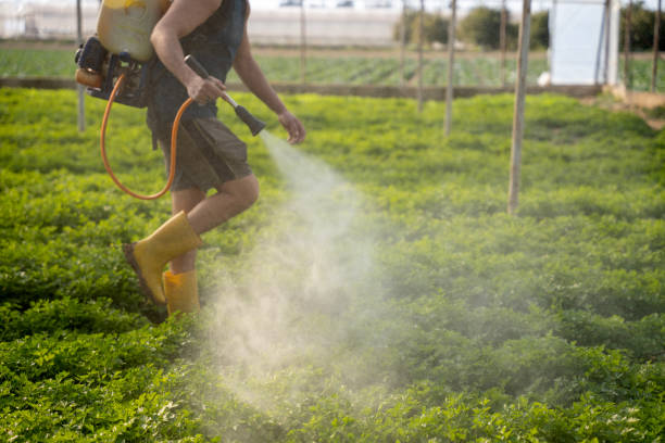 Best Local Pest Control Services  in Parma, ID