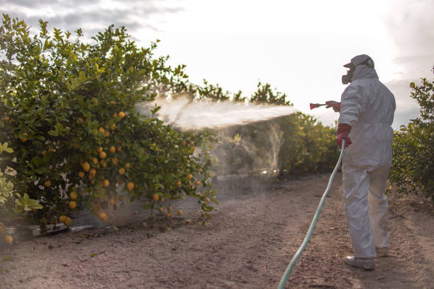 Best Affordable Pest Control Services  in Parma, ID